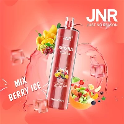 Jnr Shisha 12k Puff Double Mesh Wholesale